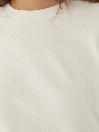 Hiccup Sweatshirt em branco, Vista do artigo