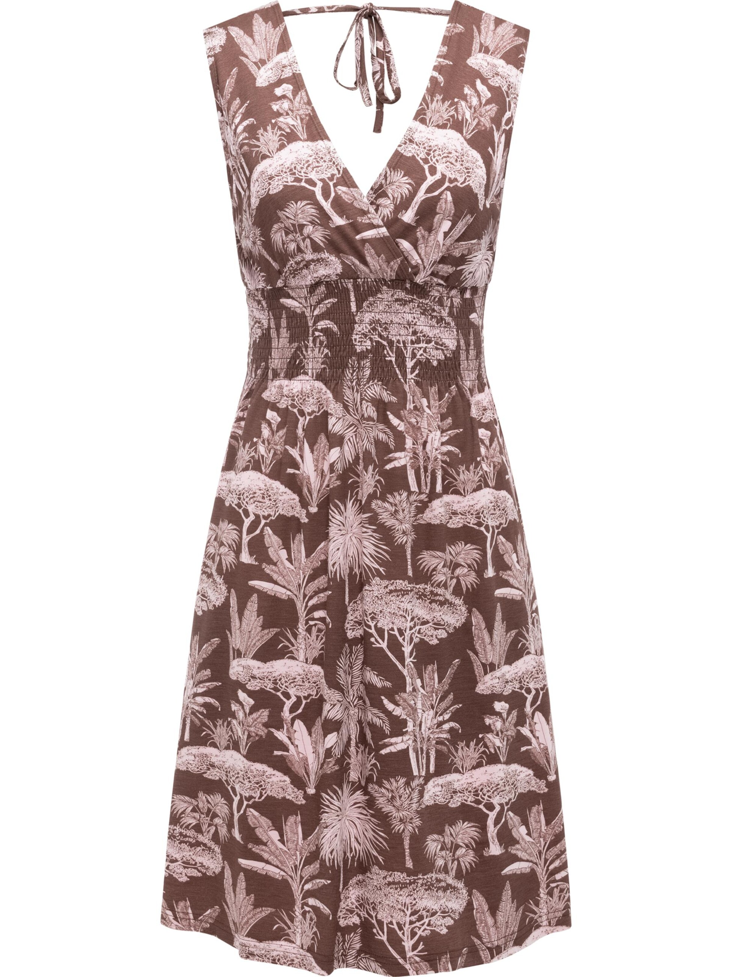 Ragwear Dress 'Aini' in Brown: front