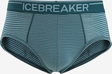 ICEBREAKER Спортивные трусы 'Anatomica' в Зеленый: спереди