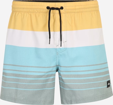 Pantaloncini da bagno di O'NEILL in colori misti: frontale