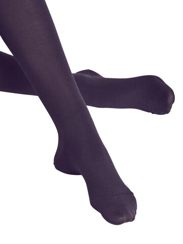 FALKE Strumpfhose 'Softmerino'‌‌‌‌‌‌‌‌ in Rot