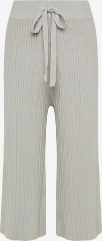 usha BLACK LABEL Wide leg Pants in Grey: front