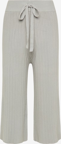 usha BLACK LABEL Wide Leg Hose in Grau: predná strana