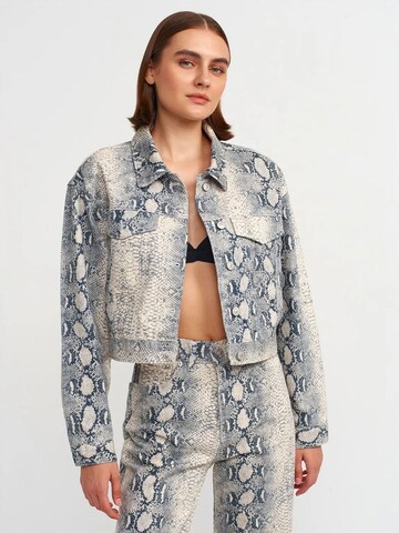 Dilvin Between-Season Jacket in Mixed colors: front