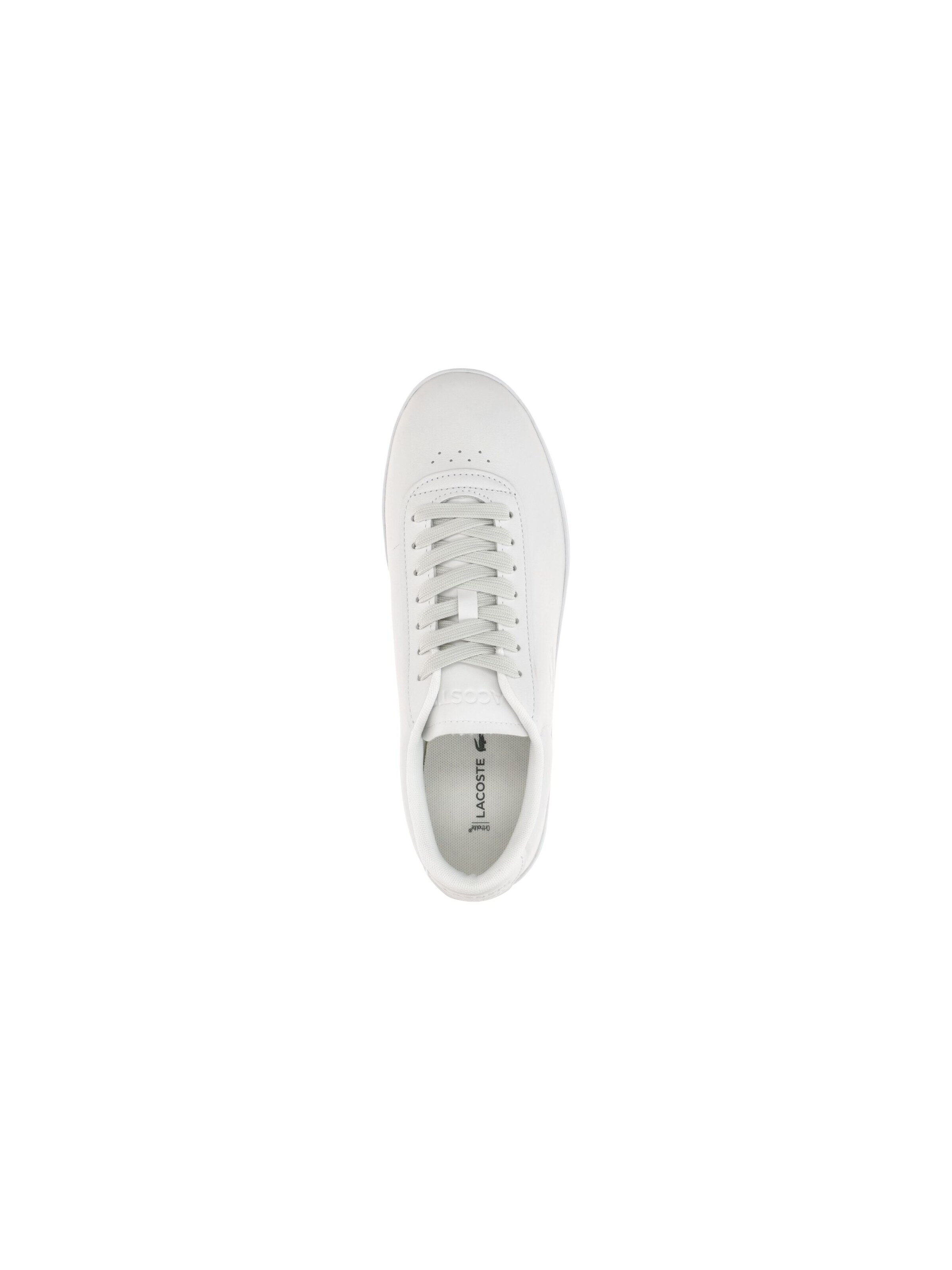 LACOSTE Sneaker low 'Baseshot 0065'‌‌‌‌‌‌‌‌ in Weiß