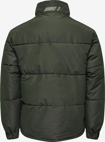Only & Sons Winter jacket 'CATCH' in Green