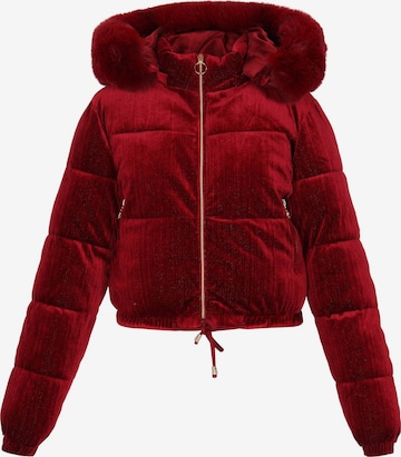 Veste d’hiver 'At Night' CHUBBA en rouge : devant