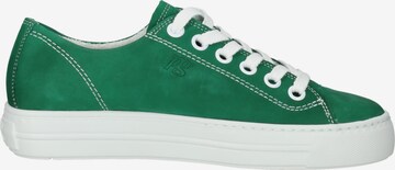 Sneaker bassa di Paul Green in verde
