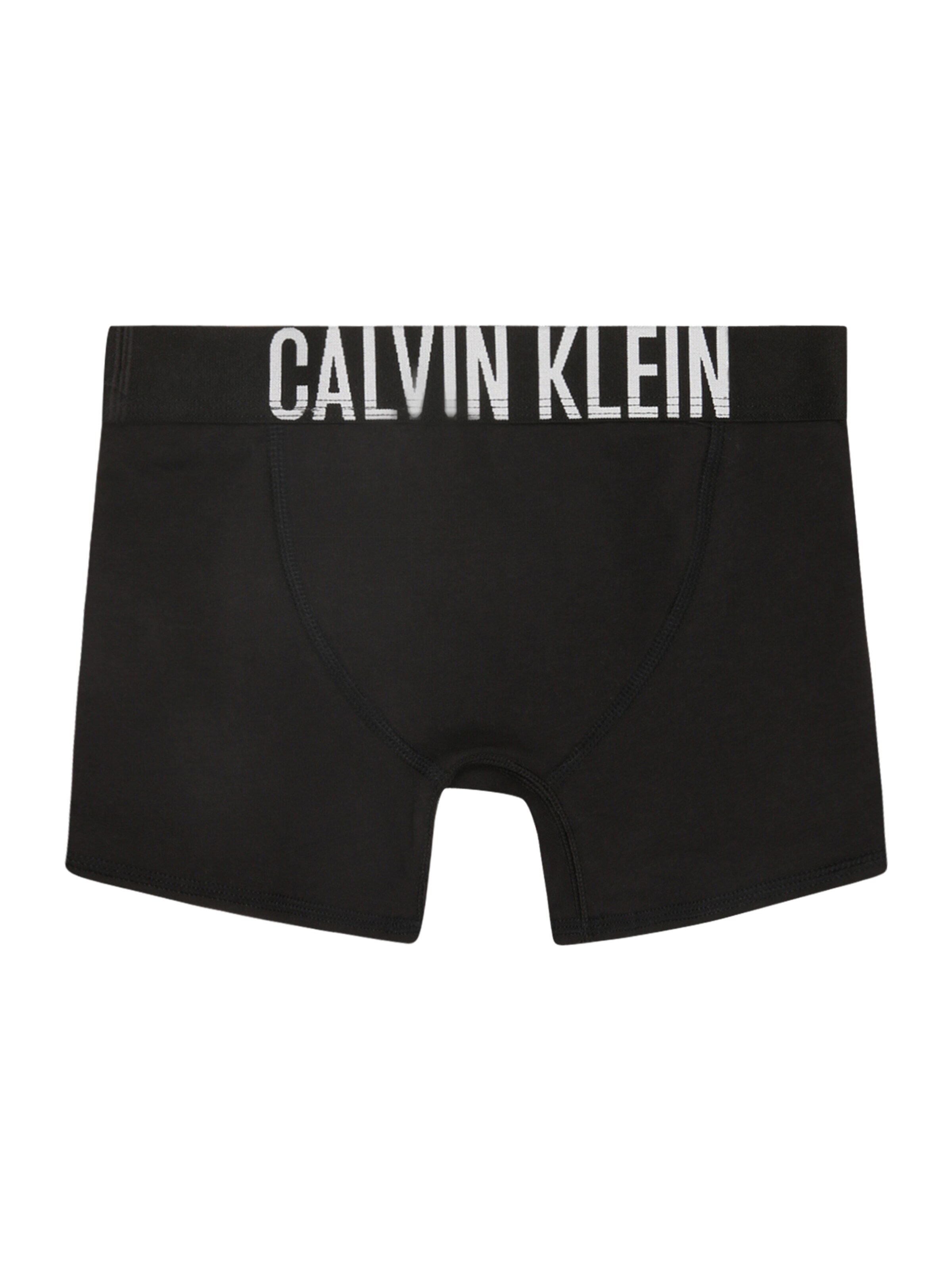 pilka Calvin Klein Underwear Apatinės kelnaitės