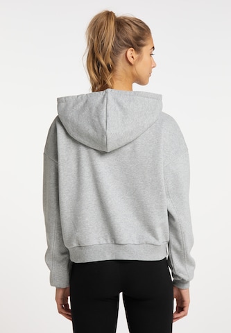 TALENCE Sweatshirt in Grijs