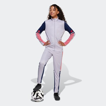 ADIDAS PERFORMANCE Regular Sporthose 'Squadra 25' in Lila