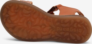 BISGAARD Sandals 'Alma' in Brown