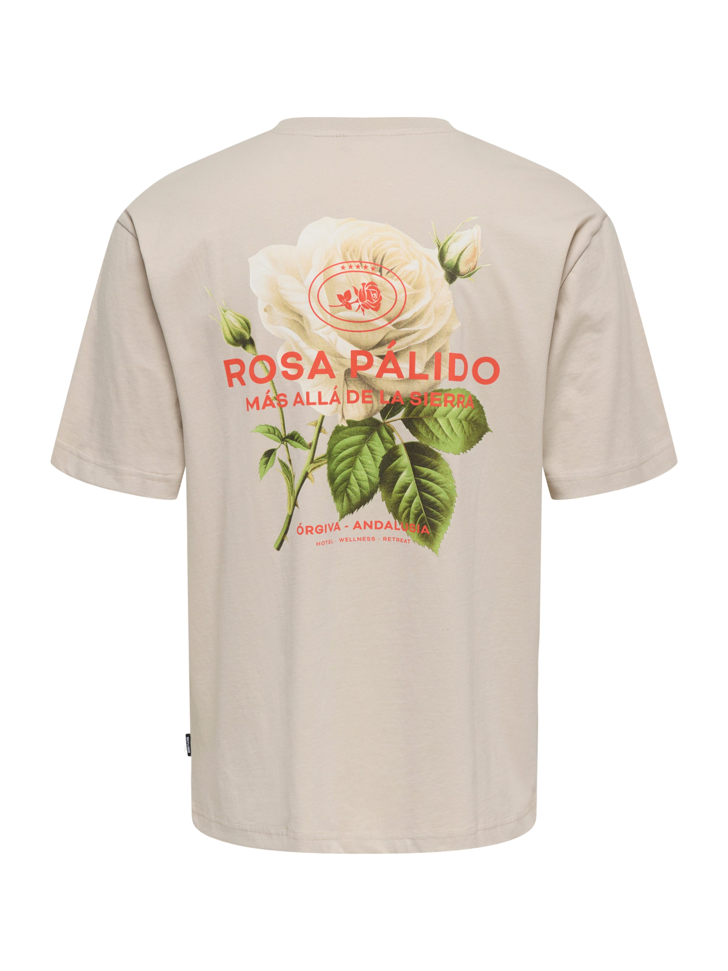 T-Shirt 'ONSFRANK' Only & Sons en gris