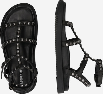 ABOUT YOU Strap Sandals 'Isabella' in Black