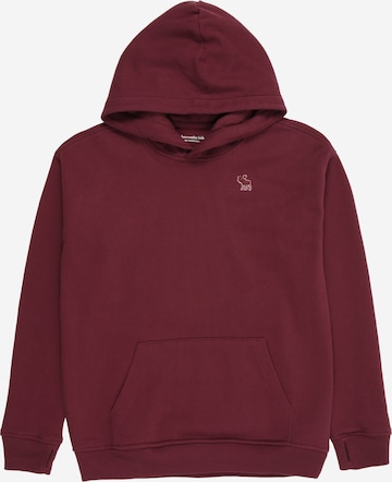 raudona Abercrombie & Fitch Megztinis be užsegimo 'ESSENTIALS FLEECE': priekis