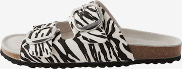 Next Pistokkaat värissä monivärinen: etupuoli