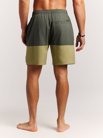 PROTEST Board Shorts 'PRTCabus' in Green
