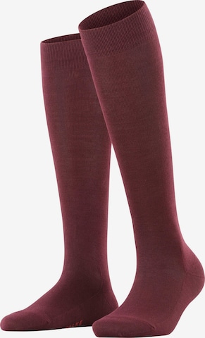 FALKE Knee High Socks 'Family' in Red: front
