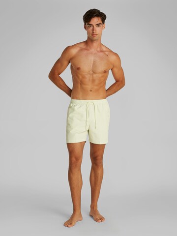Calvin Klein Swimwear Swimming shorts in Green