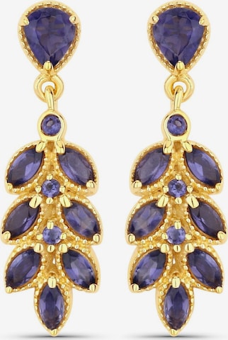 Boucles d'oreilles Rafaela Donata en or : devant