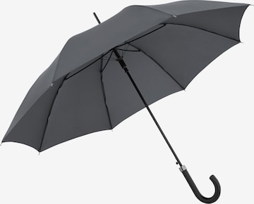 Parapluie 'Bristol' Doppler en gris : devant