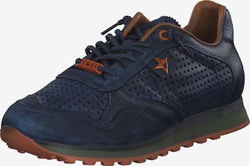 Cetti Athletic Lace-Up Shoes 'C848 EXP M' in Blue: front