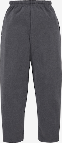 FRUIT OF THE LOOM Pants in Grey: front