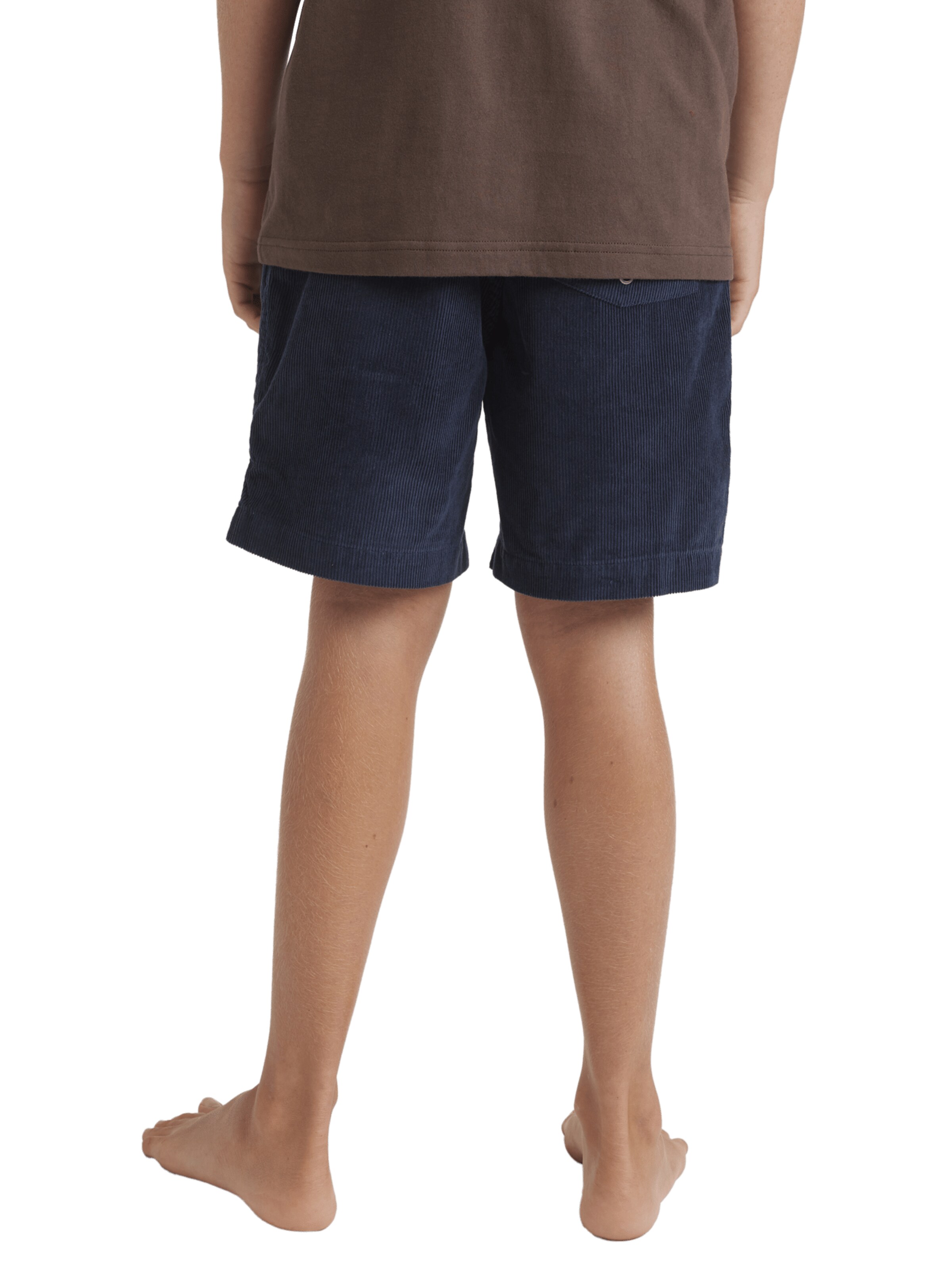 QUIKSILVER Regular Broek 'Taxer' in Blauw