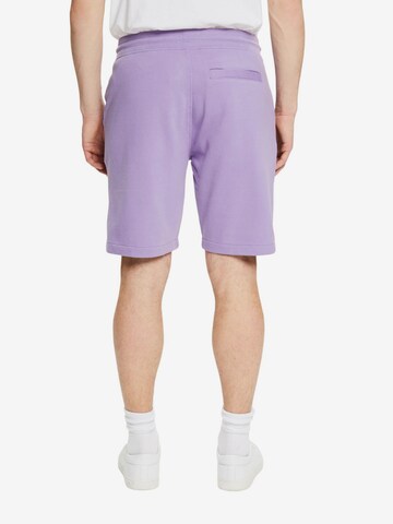 ESPRIT Regular Pants in Purple