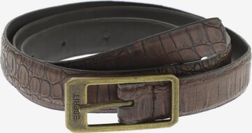 ESPRIT Belt in One size in Brown: front