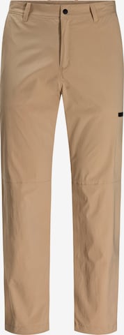 Regular Pantalon outdoor 'WANDERTHIRST' JACK WOLFSKIN en beige : devant