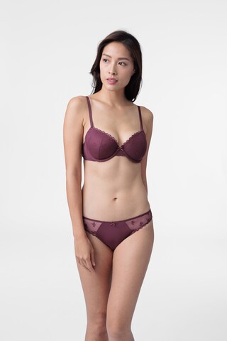 Dorina Push-up BH 'Elvera' in Pink