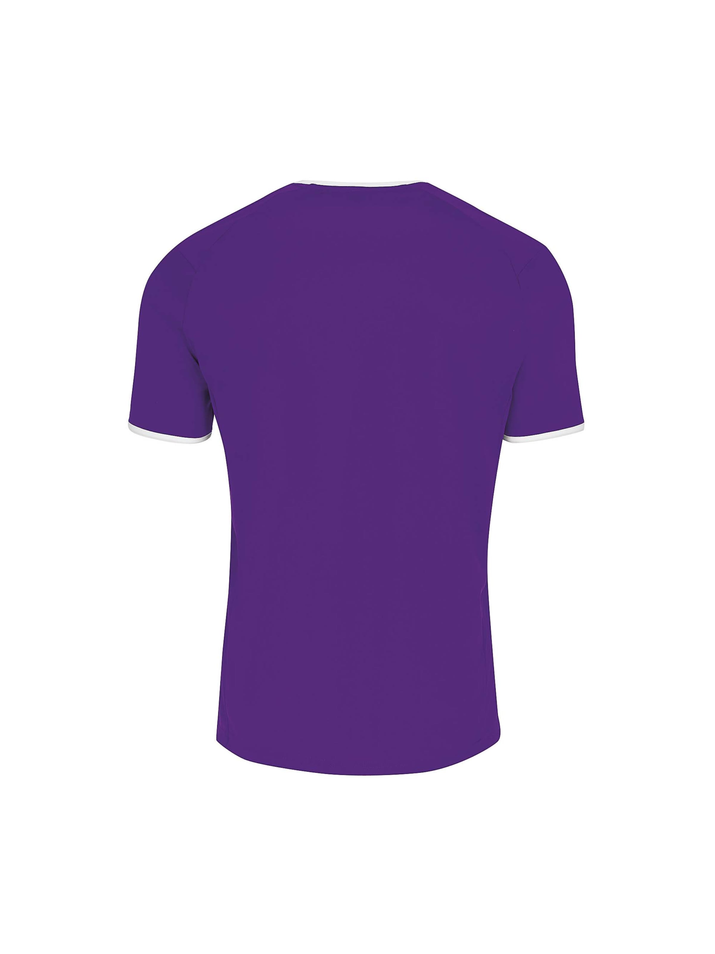 Errea Performance shirt 'LENNOX' in Purple