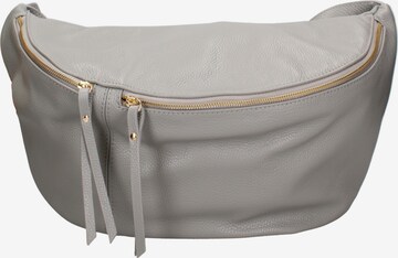 Marsupio 'Marsupio donna pelle dollaro Gave Lux - con zip e tracolla regolabile' di Chiara Ferretti in grigio: frontale