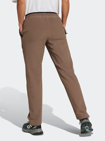 ADIDAS TERREX Regular Sports trousers 'LITEFLEX' in Brown