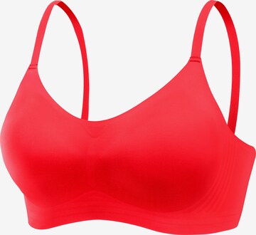 NUANCE Bralette Bra in Red: front