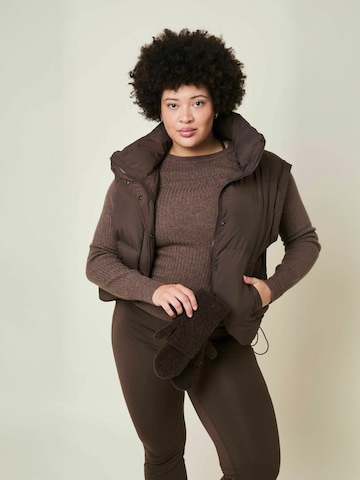 Cartel Copenhagen Winter jacket ' Alpine ' in Braun: Vorderseite