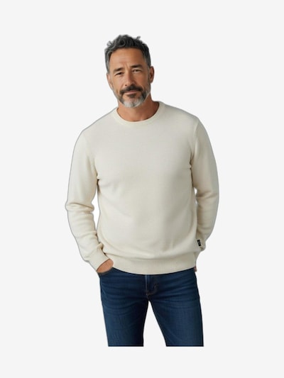 ICEBERG Sweatshirt‌‌‌‌‌‌‌‌ in weiß, Produktansicht