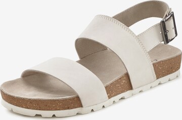 Elbsand Sandaler i beige: forside