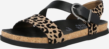 Sandalo 'Lance' di Blowfish Malibu in nero: frontale