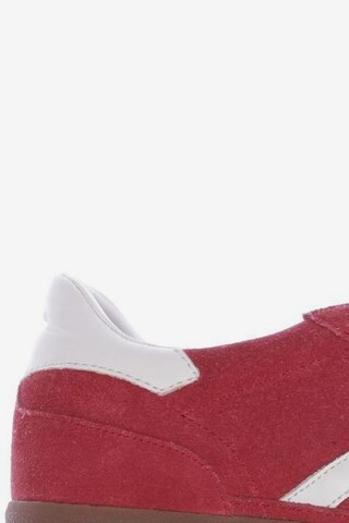 Hummel Sneakers & Trainers in 37 in Red