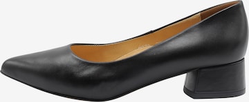 usha WHITE LABEL Pumps in Schwarz: predná strana