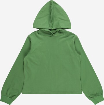 D-XEL Sweatshirt 'IDONA' i grön: framsida