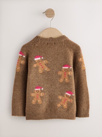 Next Pullover in Braun