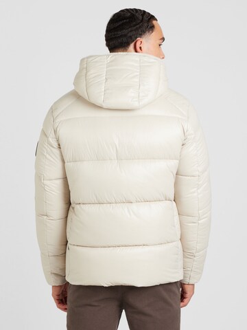 SAVE THE DUCK Winter jacket 'EDGARD' in Beige