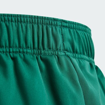 Tapered Pantaloni 'Adicolor' di ADIDAS ORIGINALS in verde