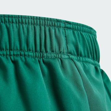 ADIDAS ORIGINALS Tapered Pants 'Adicolor' in Green