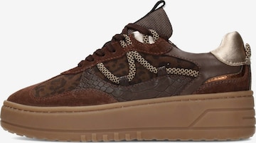 PS Poelman Sneakers laag 'Anemosome' in Bruin: voorkant