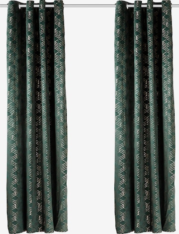 MY HOME Curtains & Drapes in Green: front