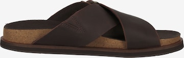 TIMBERLAND Mules 'Amalfi' in Brown